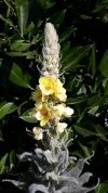 20190706_120415.webp