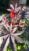 20190704_172729.webp