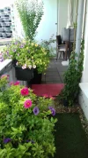 20190708_125550_resized.webp