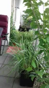 20190708_125146_resized.webp