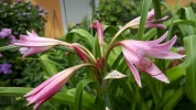 20190709_105427.webp
