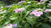 20190709_105346.webp