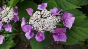 20190709_105338.webp