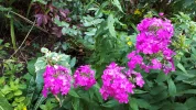 20190709_105324.webp