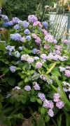 20190709_104532.webp