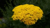 20190709_104450.webp
