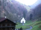 DSCN2335.webp