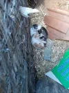 IMG-20190708-WA0005.webp