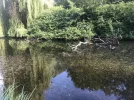 C8EC9463-CD4F-4C3F-B81B-3E65681A7ABB.webp