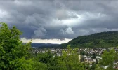 W-liesch.webp