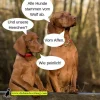 megalol_73976.webp