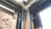 20190715_110356.webp