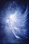 Unbenannt1.webp