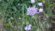 20190716_065237.webp