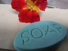DSCN9803.webp