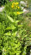 20190717_122319.webp