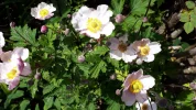 20190717_122433.webp