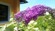 20190717_122424.webp