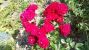 20190717_122226-3456x1944.webp