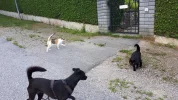 20190718_070658-3456x1944.webp