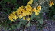 20190718_063840-3456x1944.webp