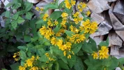20190718_064123-3456x1944.webp