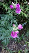 20190718_070333-1944x3456.webp