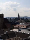 20190717_161955.webp