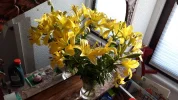 20190717_071304.webp