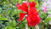 20190718_141853.webp
