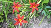 20190718_141831.webp
