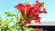 20190718_092048.webp