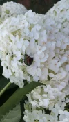 20190718_091934.webp
