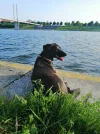 IMG-20190610-WA0003.webp