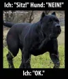FB_IMG_1563443406852.webp