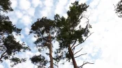 20190720_065036.webp