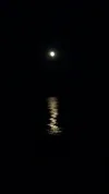 20190719_225121.webp