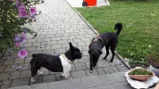 20190721_183315-3456x1944.webp