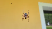 20190725_142013.webp