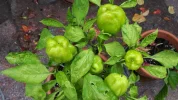 20190729_092556.webp