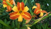 20190729_092532.webp