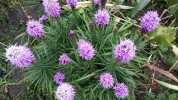 20190729_092511.webp