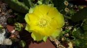 20190728_142547.webp