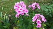 20190730_120452.webp