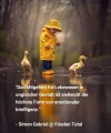 FB_IMG_1564553608649.webp
