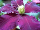 DSCN9624.webp