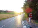 DSC01796.webp