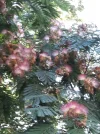 20190725_092227.webp