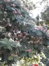 20190725_092346.webp