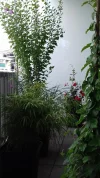 20190802_102829.webp